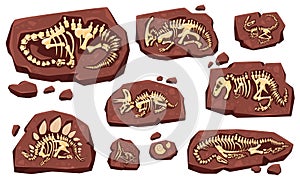 Layer of earth with fossil bones. Archaeological excavations of dinosaur fossils. Studies of ancient animals. Vector photo