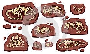 Layer of earth with fossil bones. Archaeological excavations of dinosaur fossils. Studies of ancient animals. Vector