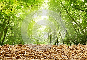 Layer of organic wood pellets in a green forest