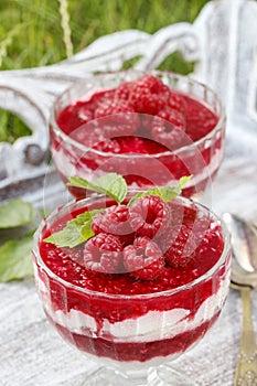 Layer raspberry dessert on garden party table.