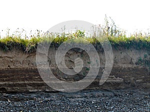 Layer of soil