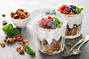 Layered blueberry and red currant parfait with chia yogurt, homemade oat granola and fresh berries for breakfast