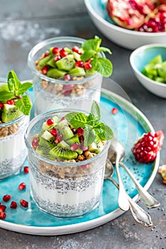 Layered chia pudding parfait with kiwi fruit, pomegranate, granola and yogurt