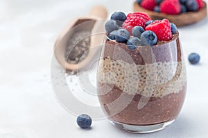 Layered chocolate and peanut butter chia seed pudding in  glass, garnished with raspberry and blueberry, horizontal, copy space