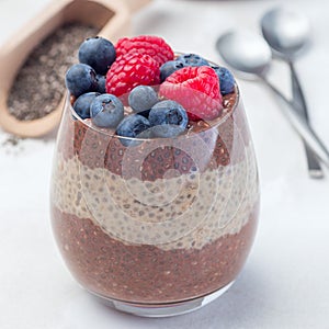 Layered chocolate and peanut butter chia seed pudding in  glass, garnished with raspberry and blueberry, square format