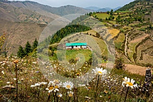 A layered cinematic shot of Himalayan Meadows with farmlands, and a traditional mud home in the background. Uttarakhand India