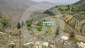 A layered cinematic shot of Himalayan Meadows with farmlands, and a traditional mud home in the background. Uttarakhand India