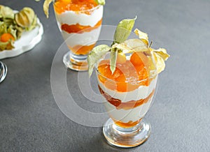 Layered dessert with protein yoghurt and physalis fruit on grey table