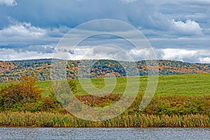 layered landscape photo of pond edge with Autumn colors and dark blue sky