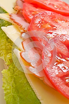 Layered lettuce, cheese, ham and tomatoes sandwich