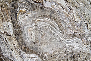 Layered rock, deformed.