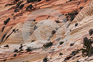 Layered Rock Detail