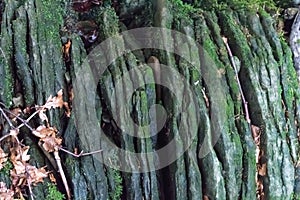 layered stone texture