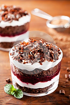 Layered trifle dessert with chocolate sponge cake, whipped cream and fruit jelly in serving glasses