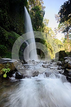Layered water flows with cool air and green scenery are attractions that you Sendeng Gile waterfall in Lombok, Indonesia
