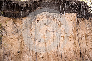 The layers of the earth in a pit