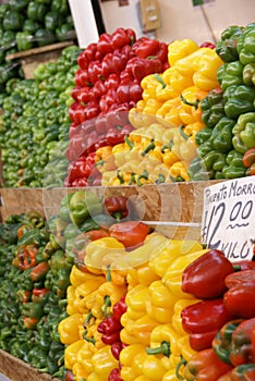 Layers of fresh bell peppers and chiles