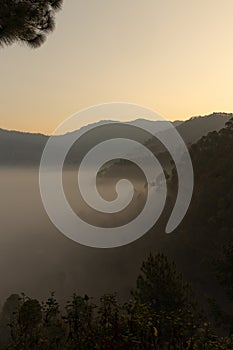 Layers of mountains with pine trees and mist