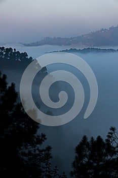 Layers of mountains with pine trees and mist