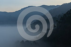 Layers of mountains with pine trees and mist