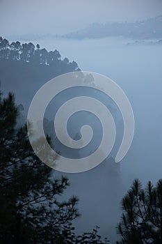 Layers of mountains with pine trees and mist