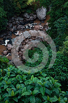 Layers/ patterns in nature. Photo from Idukki