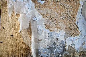 Layers of peeling wallpaper, Bodie, California