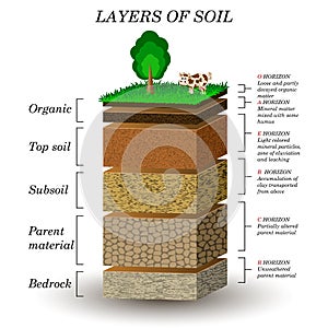 Layers of soil, education diagram. Mineral particles, sand, humus and stones