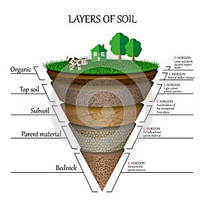 Layers of soil, education diagram. Mineral particles, sand, humus and stones, clay, template for banners, pages. Vector. photo