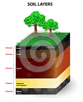 Layers of a soil profile