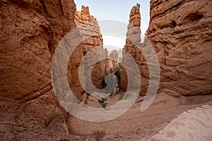 Layers of Switchbacks Down The Navajo Loop Trail