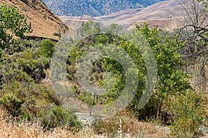 Layers of terrain in a scrub desert with rolling hills,