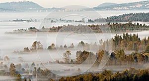 Layers of Trees Breaking Through Misty Scene