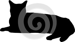 Laying black cat silhouette isolated on white background,