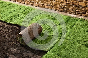 Laying grass sods at backyard. Home landscaping