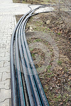 Laying of the sprinkler system of the pipeline in the ground trenches for the underground irrigation system, irrigation