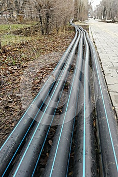 Laying of the sprinkler system of the pipeline in the ground trenches for the underground irrigation system, irrigation