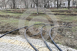 Laying of the sprinkler system of the pipeline in the ground trenches for the underground irrigation system, irrigation