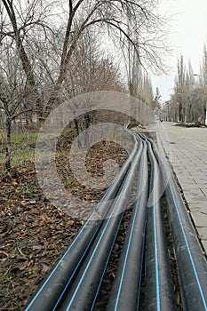 Laying of the sprinkler system of the pipeline in the ground trenches for the underground irrigation system, irrigation