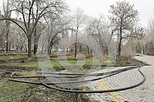 Laying of the sprinkler system of the pipeline in the ground trenches for the underground irrigation system, irrigation