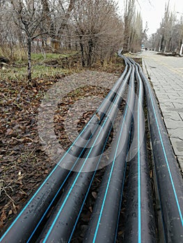 Laying of the sprinkler system of the pipeline in the ground trenches for the underground irrigation system, irrigation