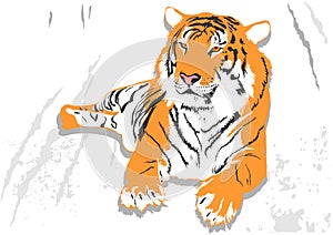 Laying tiger