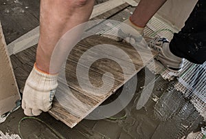 Laying tile stylized tree on the insulated floor.