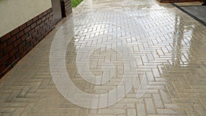 Laying tiles using sand. Wet, freshly laid paving slabs.