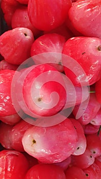 Layout Background of Java Apple Fruit or Tambis