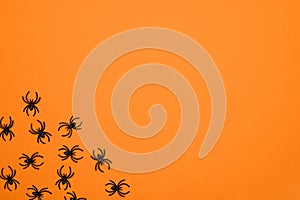 Layout of black spiders on an orange background. Halloween concept.Halloween card. Arachnophobia.Entomophobia.Copy space