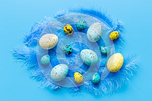 Layout of colorful Easter eggs and birds feather, top view