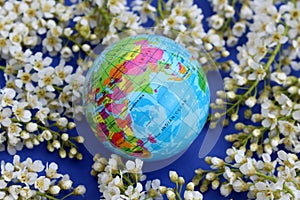 The layout of the earth surrounded by bird cherry flowers lies on a blue background.