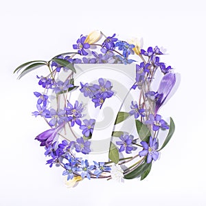 Layout with spring flowers and number seven. Anniversary concept