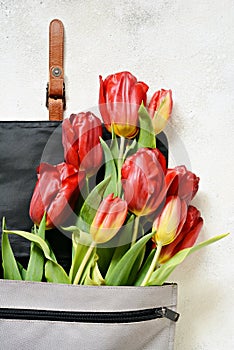 Layout of tulips, backpack and women`s personal belongings on a light-colored concrete background.Flowers, bag, nail polish